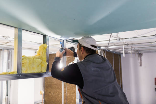 Best Residential Insulation in Prospect Park, NJ